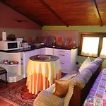 Cozy In 25 M² Lovely Garden
