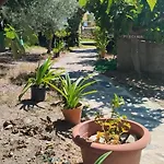 公寓 Cozy In 25 M² Lovely Garden *