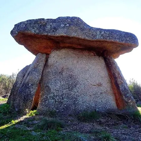 Appartement Cozy In 25 M² Lovely Garden *