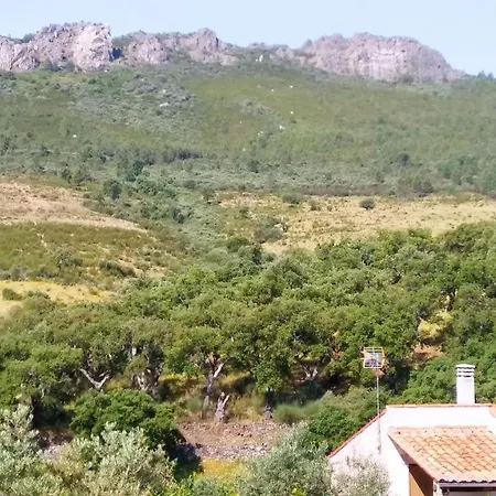 Cozy In 25 M² Lovely Garden *