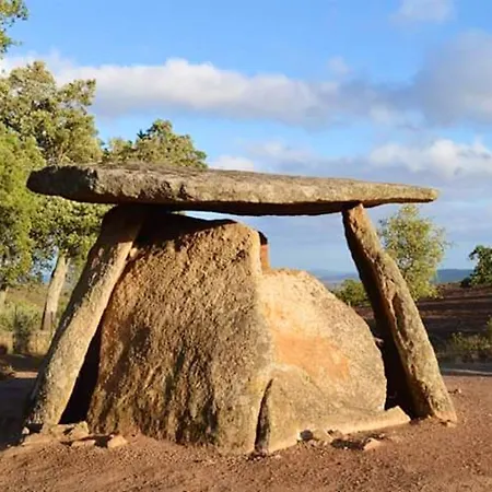 Apartment Cozy In 25 M² Lovely Garden