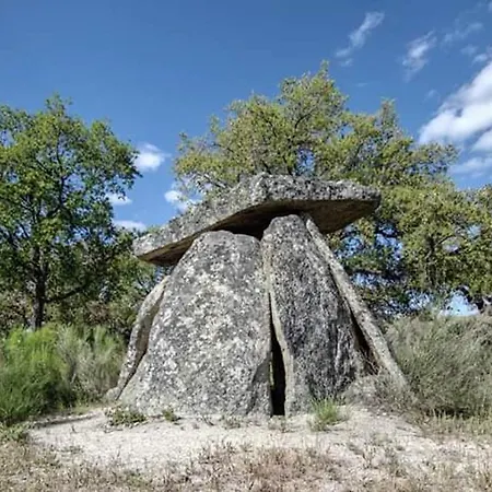 Cozy In 25 M² Lovely Garden Appartement