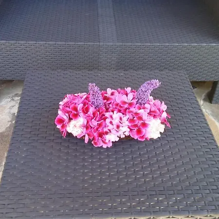 Cozy In 25 M² Lovely Garden Apartment Valencia de Alcantara