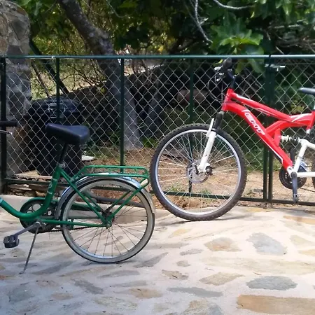 Cozy In 25 M² Lovely Garden Appartement *