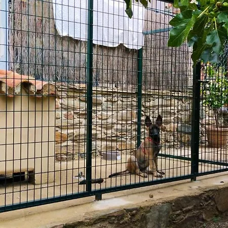 Appartement Cozy In 25 M² Lovely Garden Valencia de Alcántara