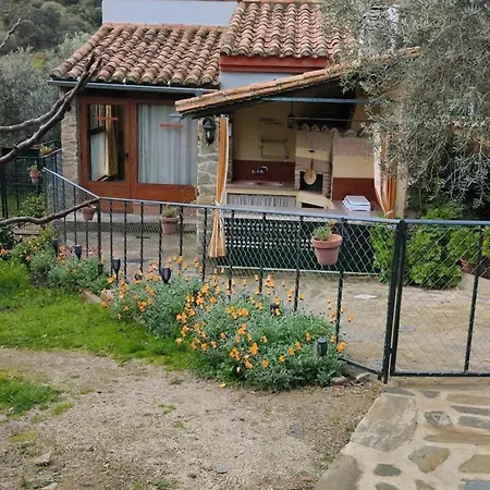 Cozy In 25 M² Lovely Garden شقة