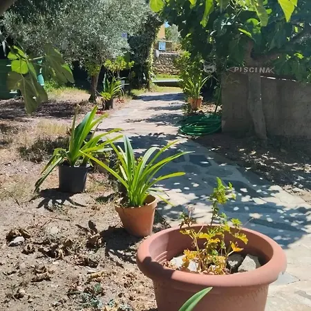 Apartment Cozy In 25 M² Lovely Garden *