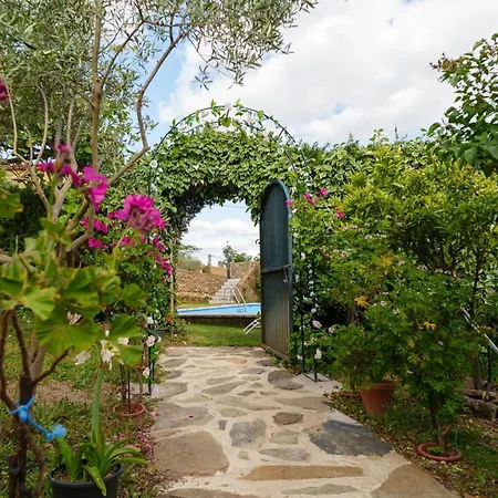 Апартаменты Cozy In 25 M² Lovely Garden *