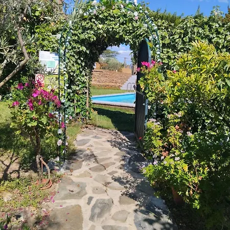 Апартаменты Cozy In 25 M² Lovely Garden *