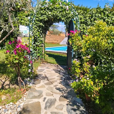 아파트 Cozy In 25 M² Lovely Garden 발렌시아데알깐따라