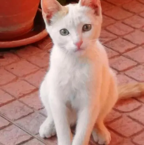 Cozy In 25 M² Lovely Garden Апартаменты *