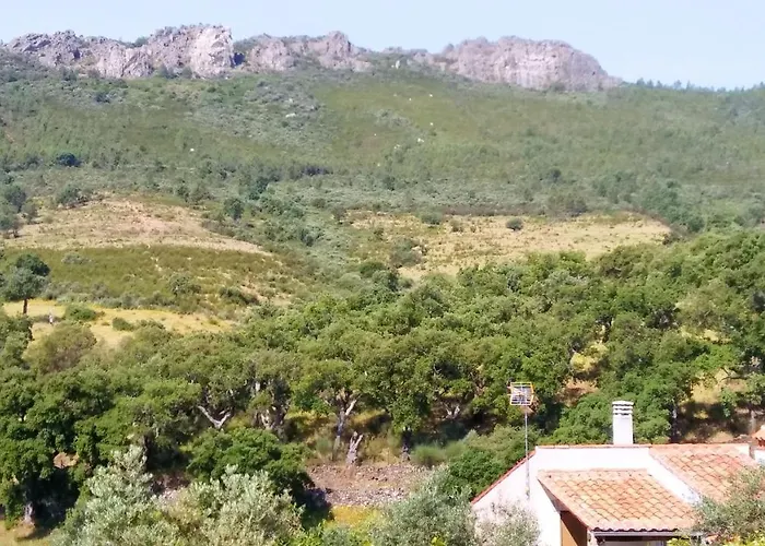 Cozy In 25 M² Lovely Garden *