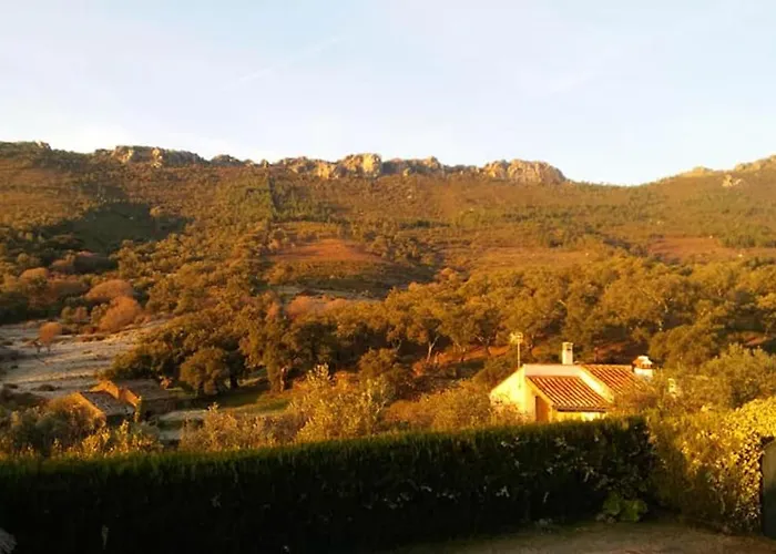 Cozy In 25 M² Lovely Garden 公寓 瓦伦西亚奥坎塔