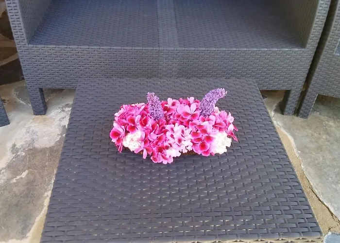 Cozy In 25 M² Lovely Garden 公寓 瓦伦西亚奥坎塔