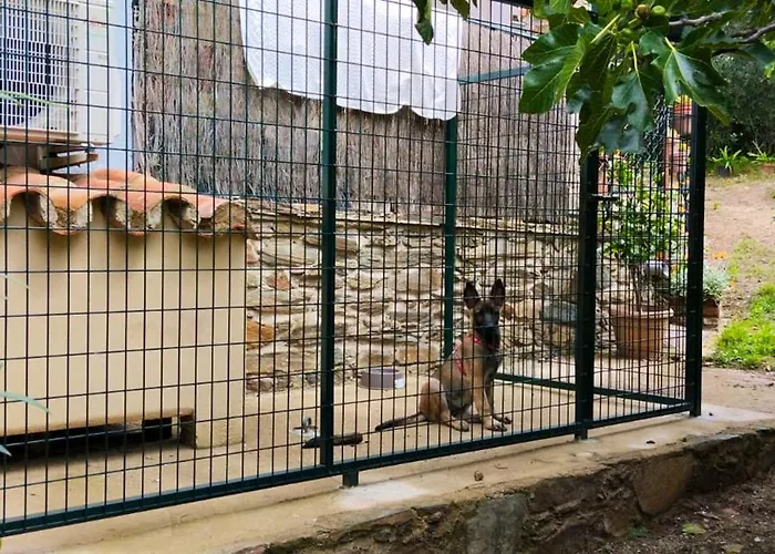 Апартаменты Cozy In 25 M² Lovely Garden Валенсия-де-Алькантар