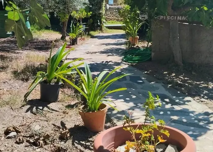 Апартаменты Cozy In 25 M² Lovely Garden *